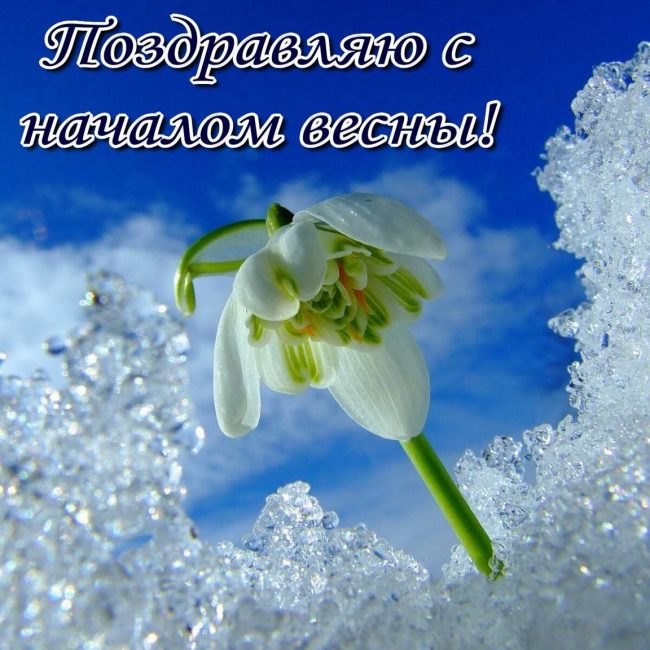 Хостинг картинок yapx.ru