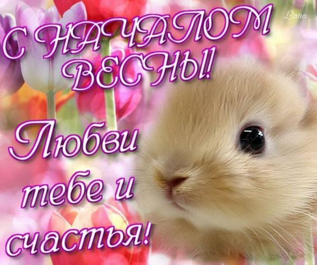 Хостинг картинок yapx.ru