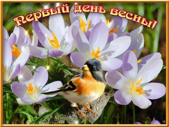 Хостинг картинок yapx.ru