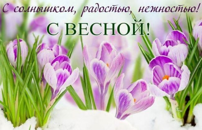 Хостинг картинок yapx.ru