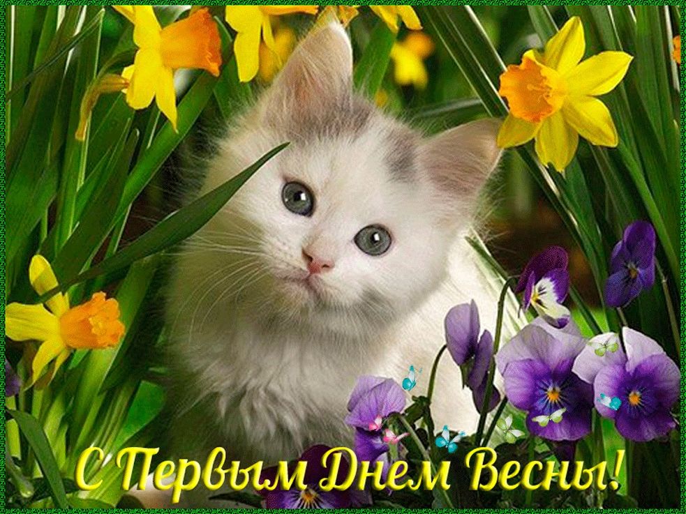 Хостинг картинок yapx.ru