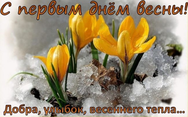 Хостинг картинок yapx.ru