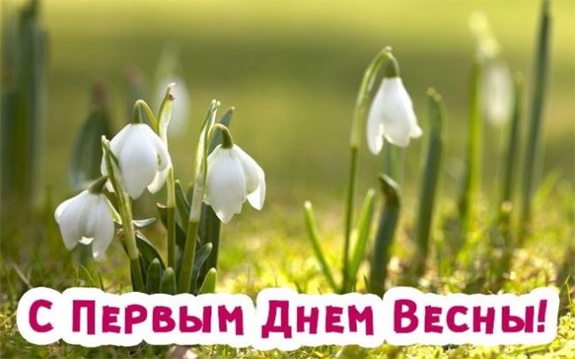 Хостинг картинок yapx.ru