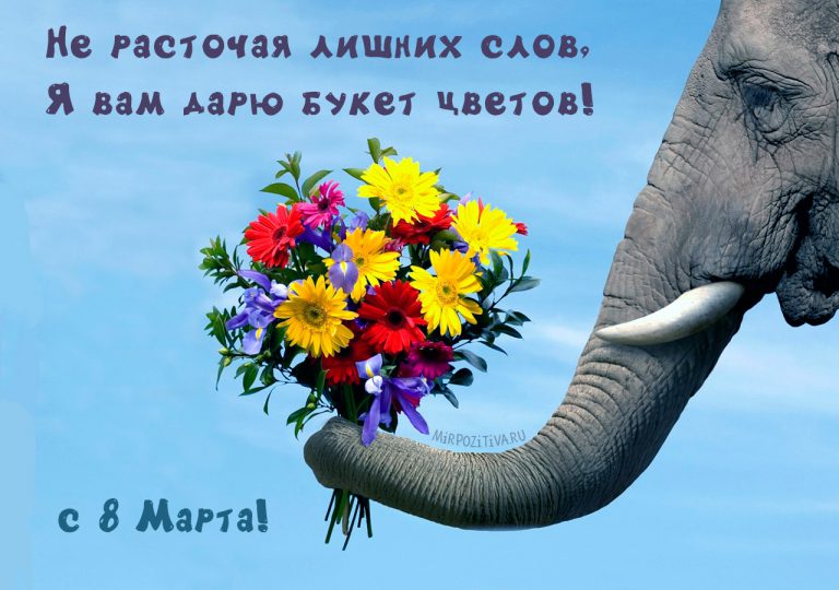 Красивые открытки с 8 марта скачать бесплатно 2023.