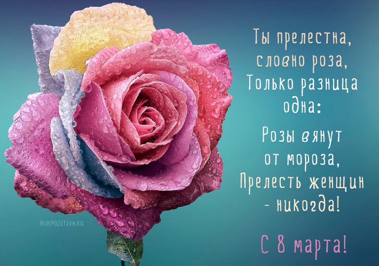 Картинки с 8 марта: красивые с цветами. 