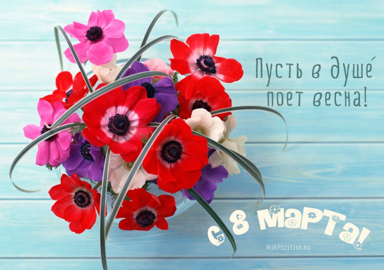 Хостинг картинок yapx.ru