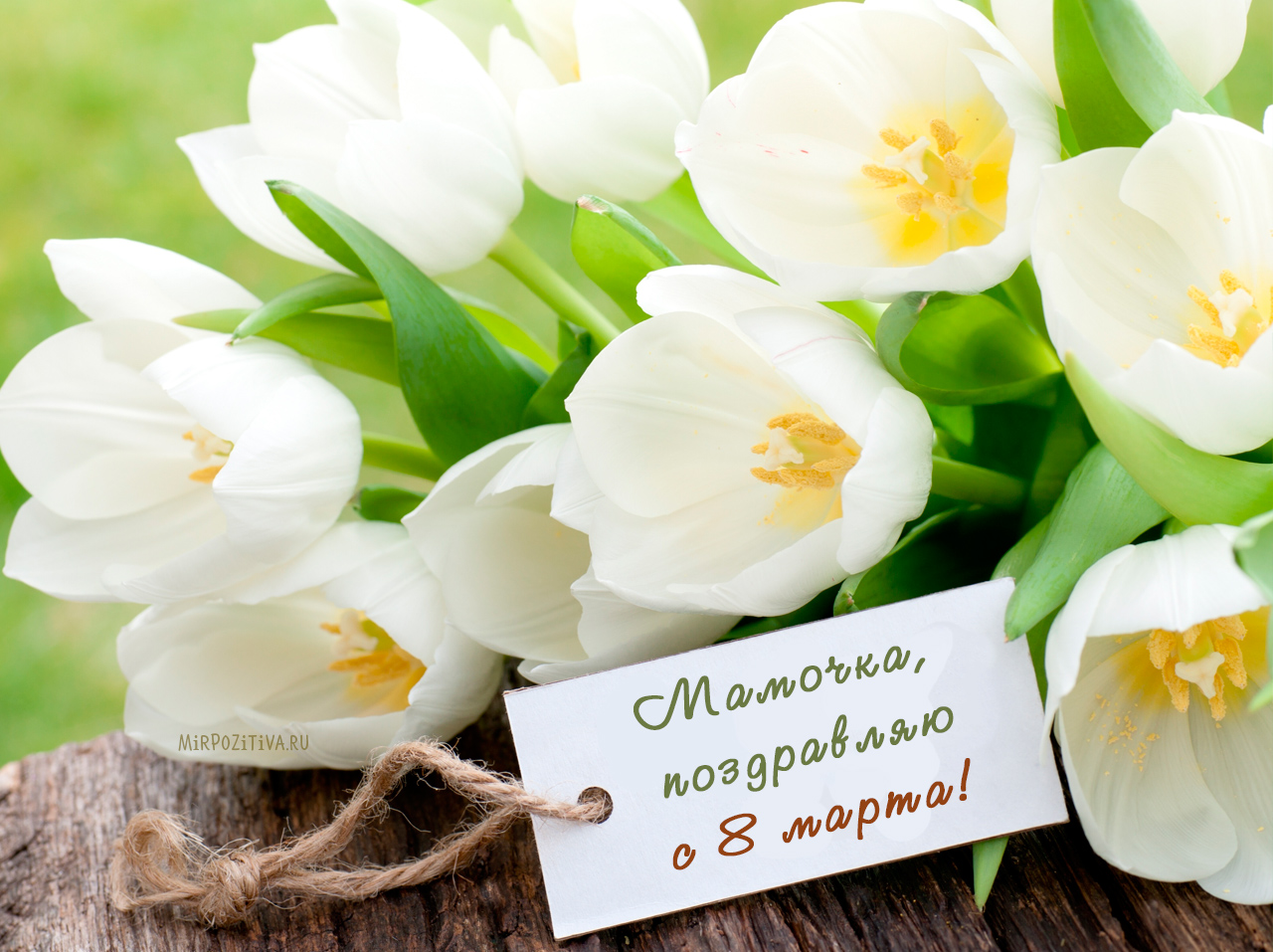 Милые и прекрасные, поздравляем вас с 8 марта! В самый весенний праздник 8 Марта.