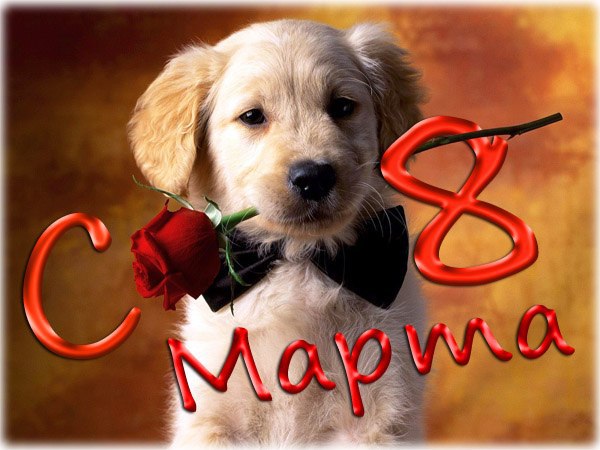 60 картинок с 8 марта для Мамочки, Подруги, Учителя.