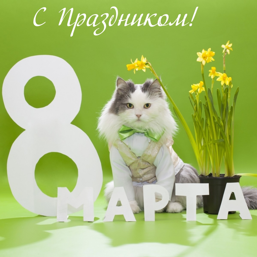 Поздравляем с Международным женским днем!