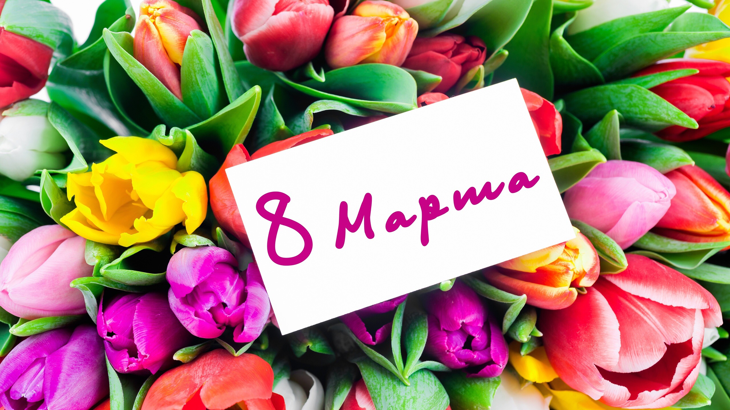 Хостинг картинок yapx.ru