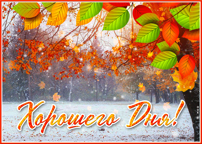 Замечательная Осенне - зимняя открытка Хорошего дня! С листвой и снегом. Замечательная Осенне - зимняя открытка Хорошего дня! С листвой и снегом.