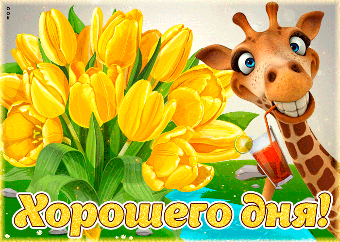 Смешная и Забавная открытка хорошего дня с жёлтыми тюльпанами и жирафом. Смешная и Забавная открытка хорошего дня с жёлтыми тюльпанами и жирафом.