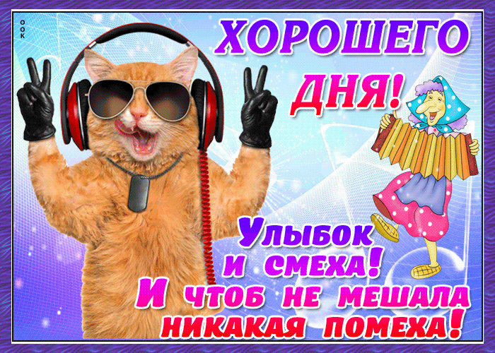 Смешная картинка с котиком и пожеланием Всем удачного дня. Смешная картинка с котиком и пожеланием Всем удачного дня.