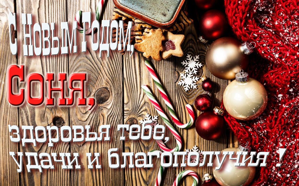С Новым Годом, Соня, здоровья тебе, удачи и благополучия!