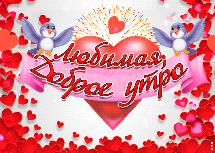 Гифка доброе утро любимой женщине с птичками и сердечками.