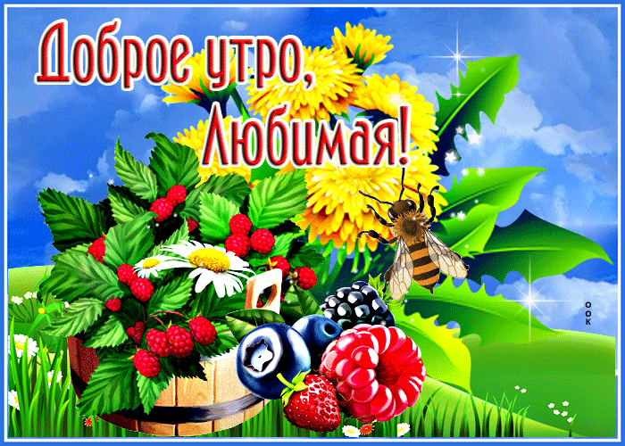 Летняя Красочная открытка с фруктами Доброе утро, любимая.