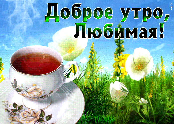 Прекрасная открытка с чаем в поле цветов Доброе утро, любимая.