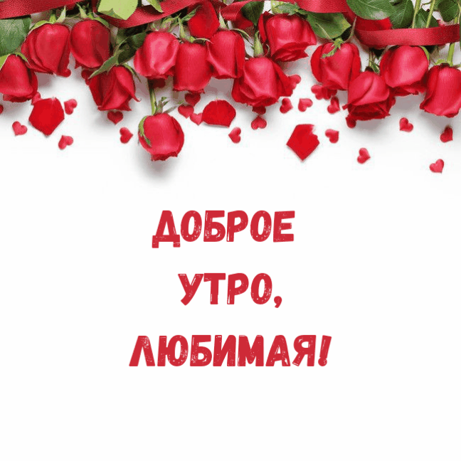 Красивая анимация с надписью "Доброе утро, Любимая!" на фоне красных роз.