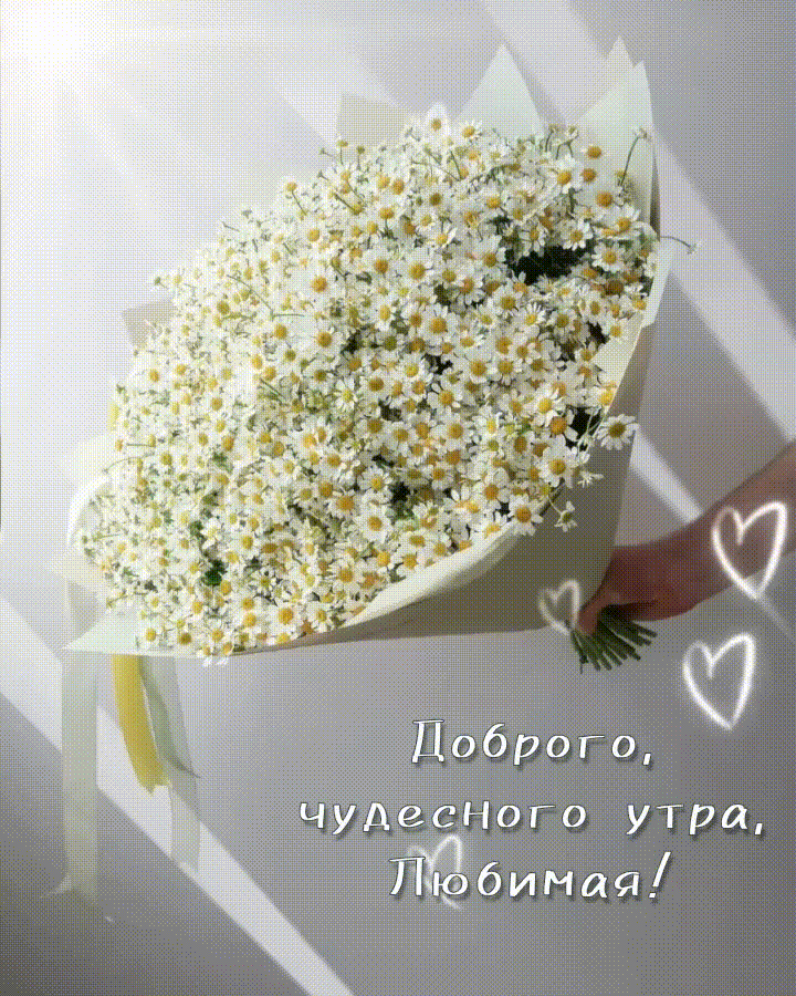 Доброго, чудесного утра, Любимая! Гифка с огромным букетом ромашек.