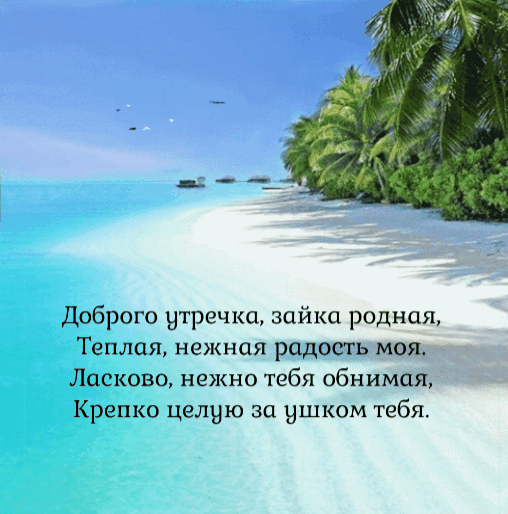 Доброго утречка, зайка родная, тёплая, нежная радость моя. Ласково, нежно тебя обнимая, крепко целую за ушком тебя.