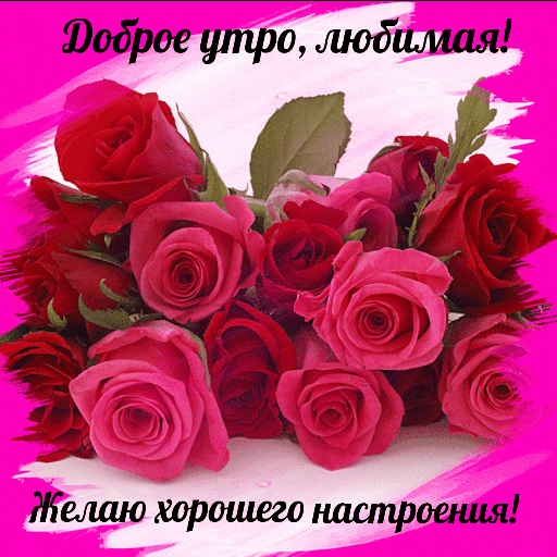 Доброе утро, любимая - новые красивые открытки.