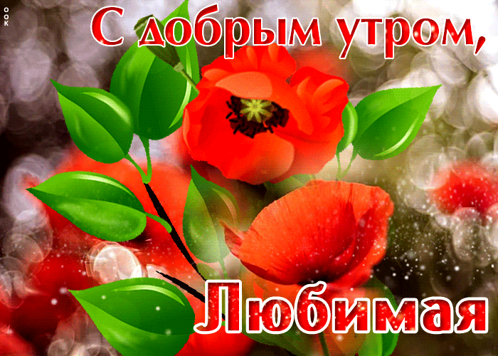 Анимация с надписью "С добрым утром, Любимая!" с цветами.