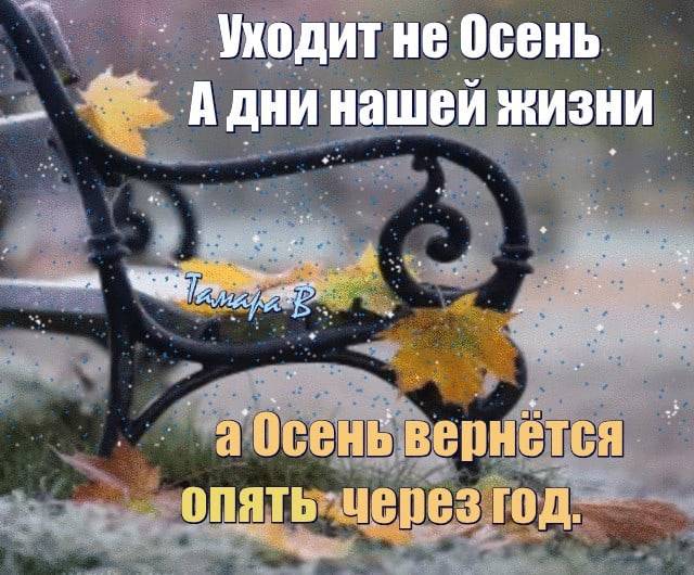 Картинки с Последним днём Осени 30 Ноября (50 фото) Картинки с Последним днём Осени 30 Ноября (50 фото)