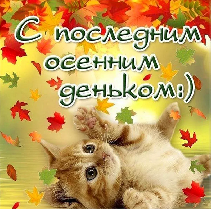 Хостинг картинок yapx.ru