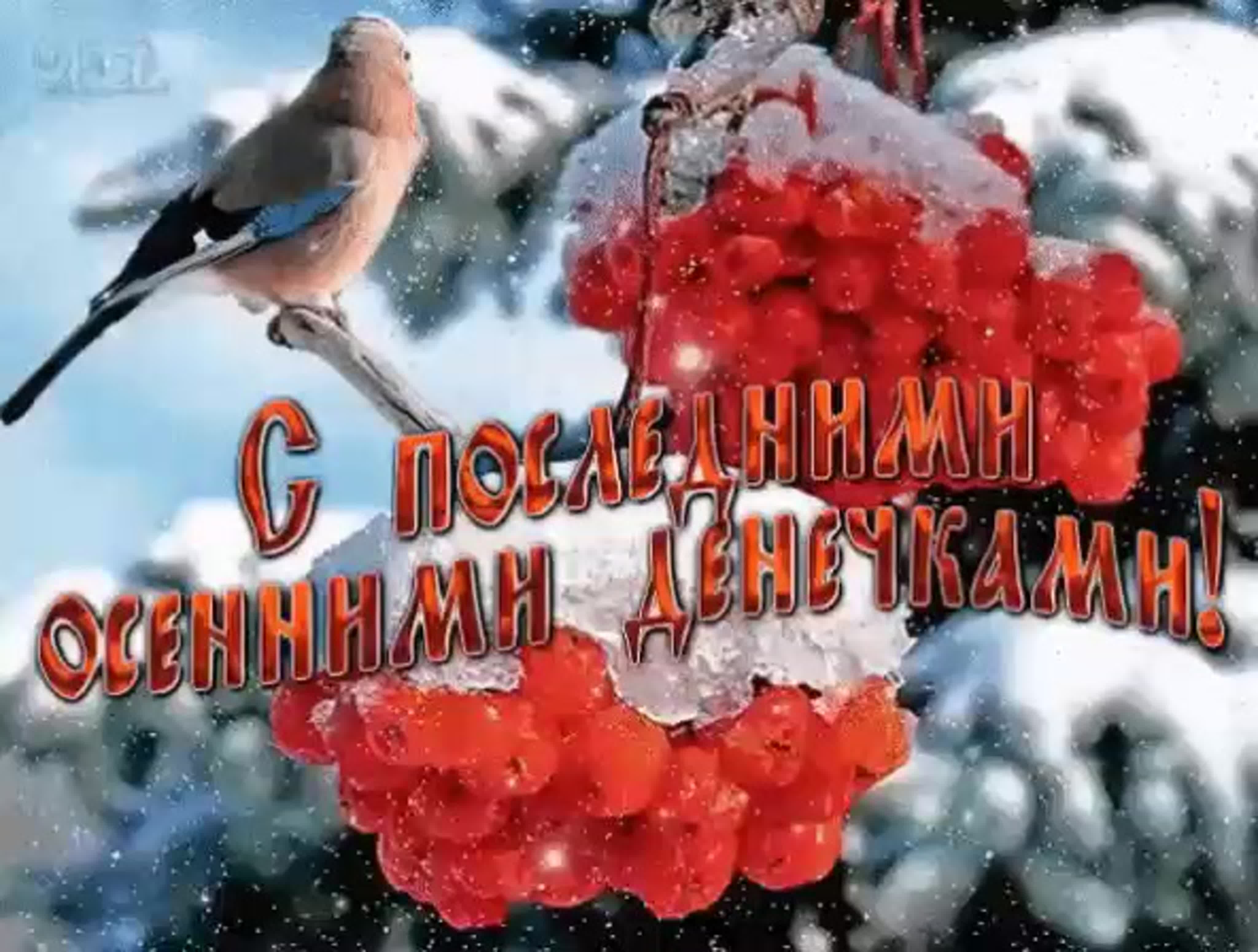 Картинки с Последним днём Осени 30 Ноября (50 фото) Картинки с Последним днём Осени 30 Ноября (50 фото)