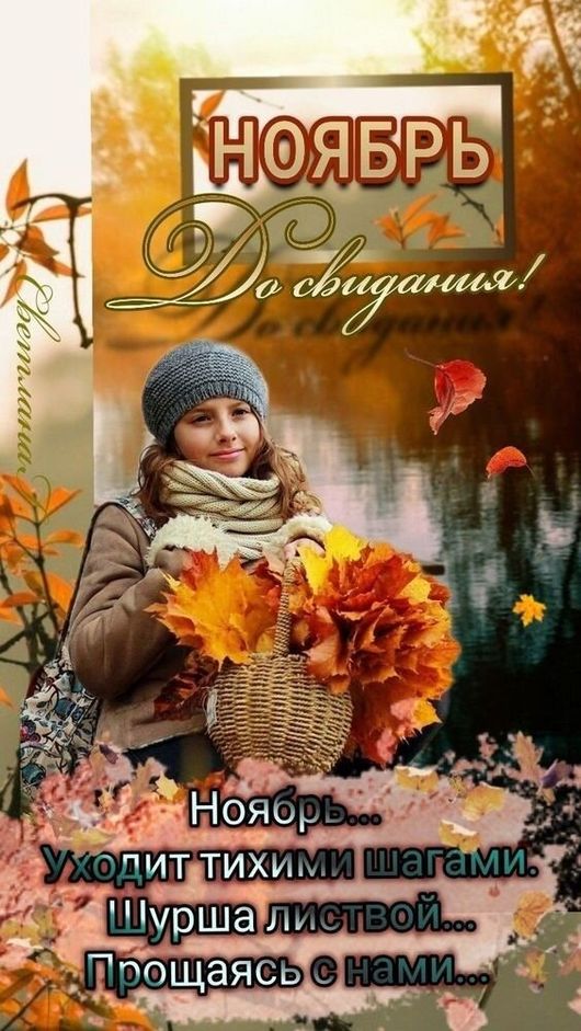 Хостинг картинок yapx.ru