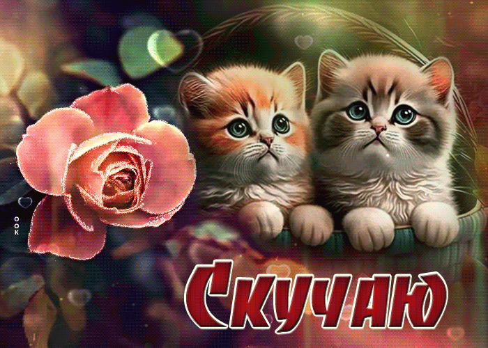 Оригинальная гифка с котятами и розой и надписью "Скучаю!".