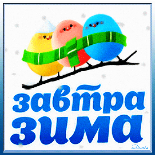 Смешная гифка с птичками, завтра Зима.