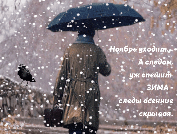 Ноябрь уходит.... А следом уже спешит зима - следы осенние скрывая.