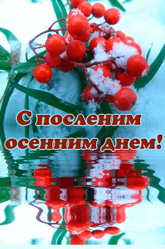 Последний день осени - открытки на WhatsApp, Viber, в Одноклассники.