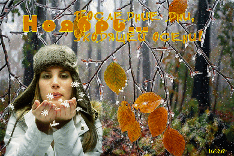 Открытка Последние дни, Ноябрь... Уходящей Осени!