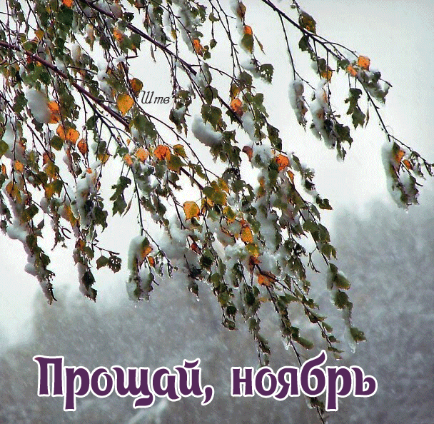 Анимация Прощай, Ноябрь.