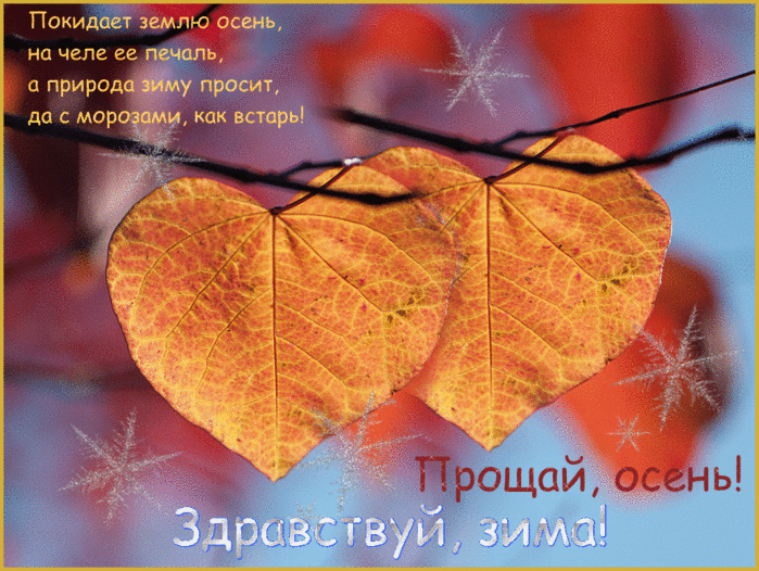 Красивая картинка покидает землю Осеню, на челе её печаль, а природа зиму просит, да с морозами, как встарь!