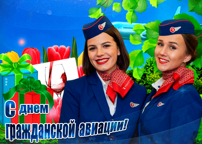 Гифка День гражданской авиации с праздником.