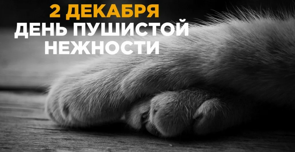Картинки с днём Пушистой Нежности 2 Декабря (30 фото)