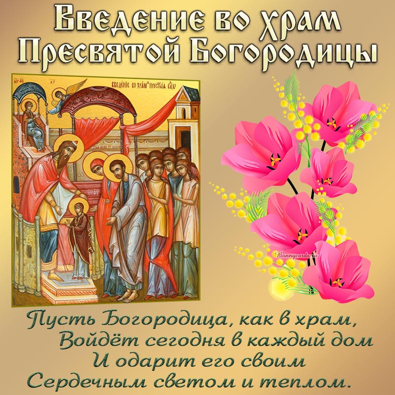 Хостинг картинок yapx.ru