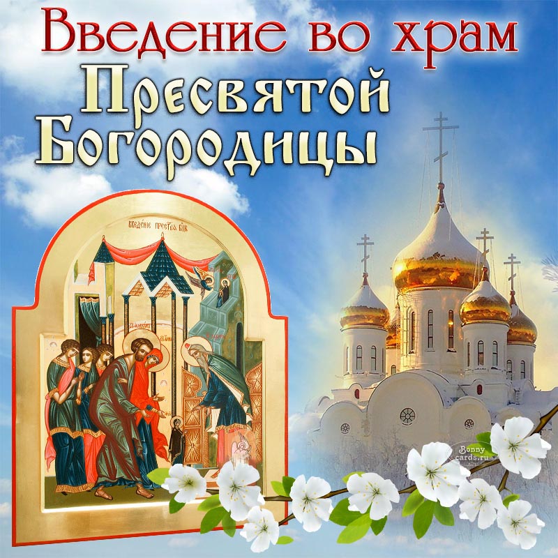 Хостинг картинок yapx.ru