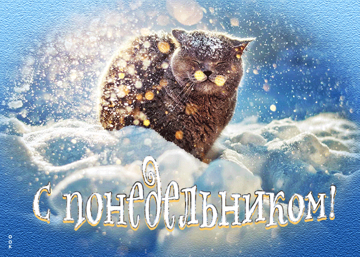 Умиротворенно-дружелюбная открытка С понедельником с котиком.