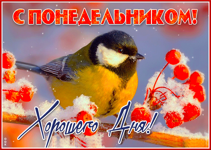 Зимняя Яркая открытка с птичкой С понедельником! Хорошего дня.