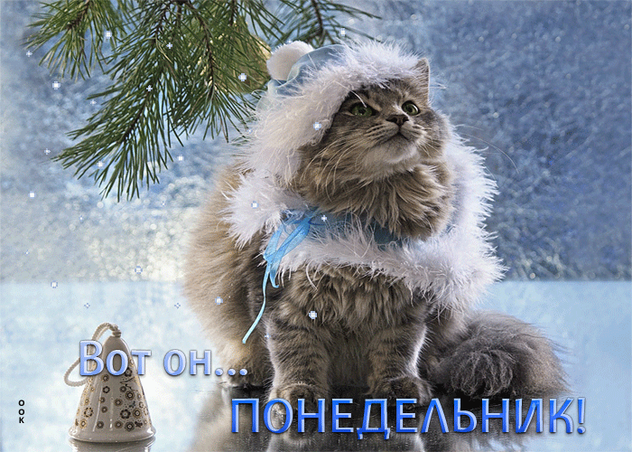 Зимняя анимация Уютная открытка с котиком Вот он... понедельник.