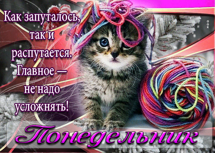 Смешная Открытка Понедельник! Главное - не надо усложнять!