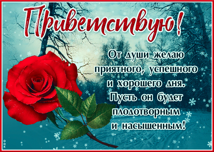 Гифка Приветствую! От души желаю приятного, успешного дня. Зимняя gif картинка со стихами.