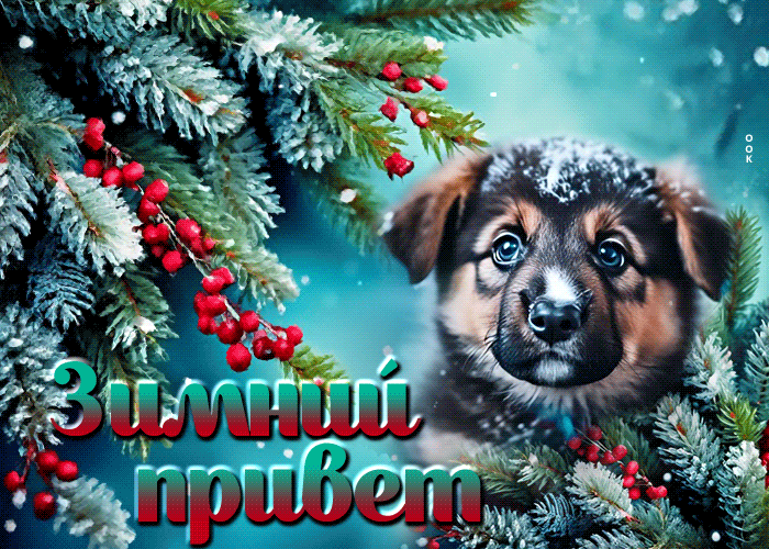 Изысканная и теплая анимационная открытка Зимний привет от пёсика.