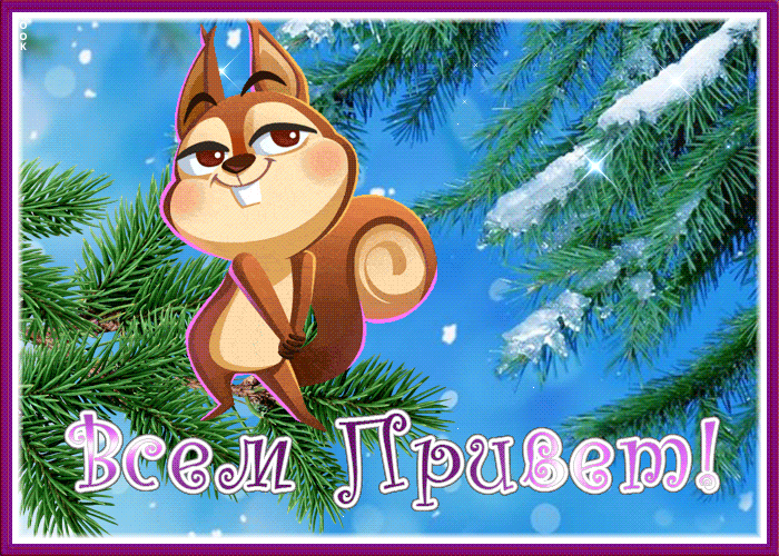 Зимняя Чудесная картинка привет с милой белочкой.