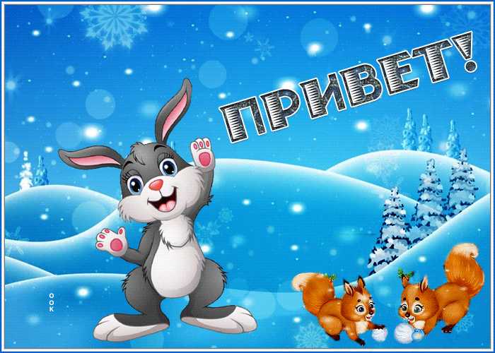 Зимняя gif картинка привет с очаровательными животными.