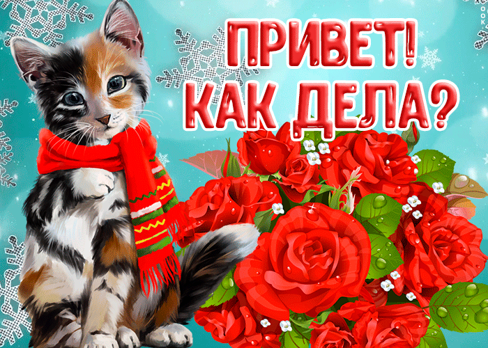 Хорошая зимняя картинка привет, с розами, котиком и падающими снежинками.